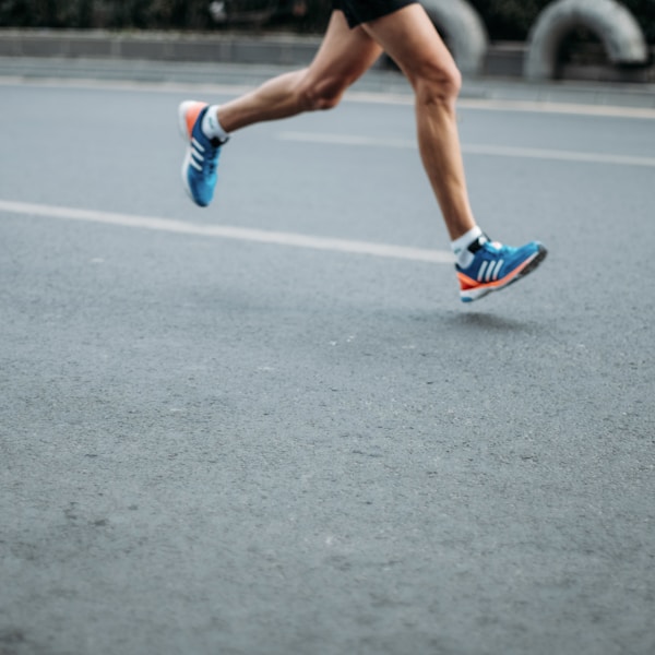 Running Belt